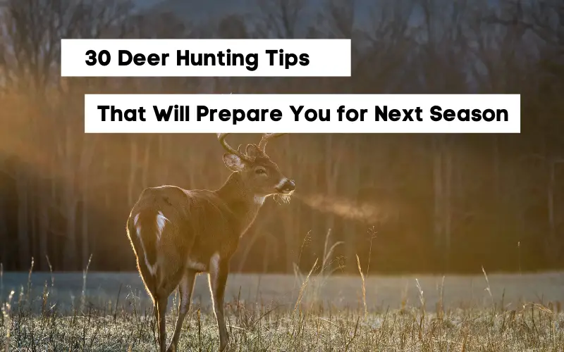 30 Deer Hunting Tips That Will Prepare You for Next Season